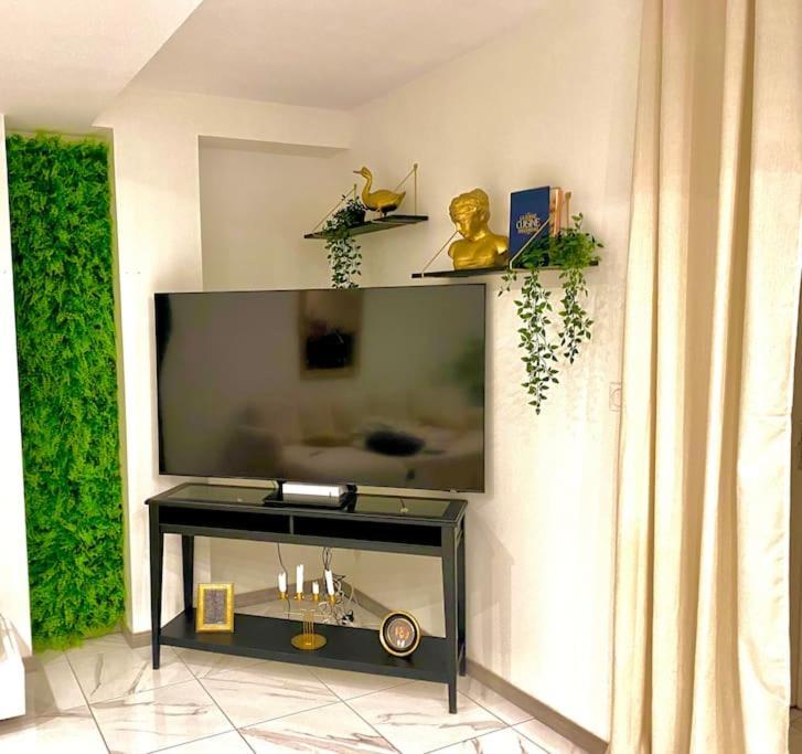 Toulouse Vaste Appartement Tres Lumineux Buitenkant foto